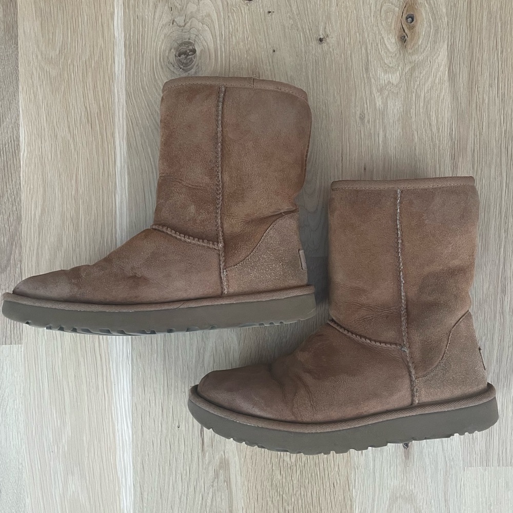 Classic Short Chestnut UGGs